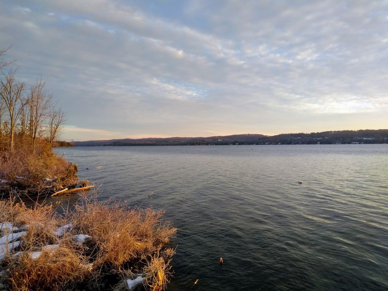 Rooted In Leelanau County