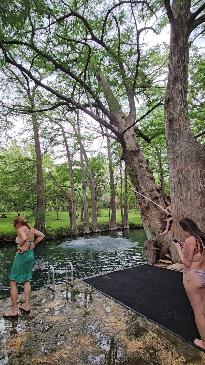 Rope Swings For The Brave At Heart