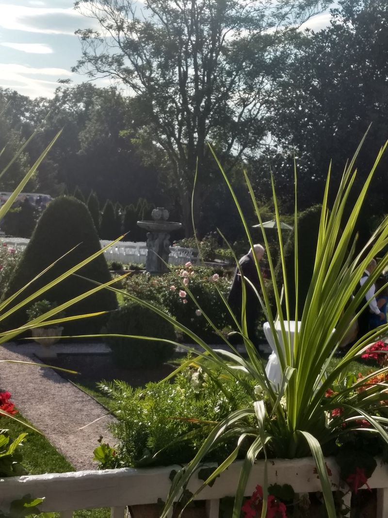 Rose Gardens Pulled From A Fairy Tale