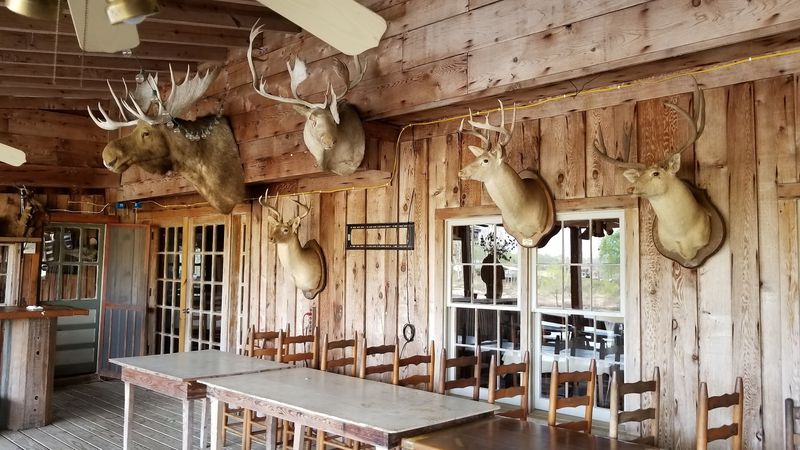 Rustic Benches and Mounted Memories