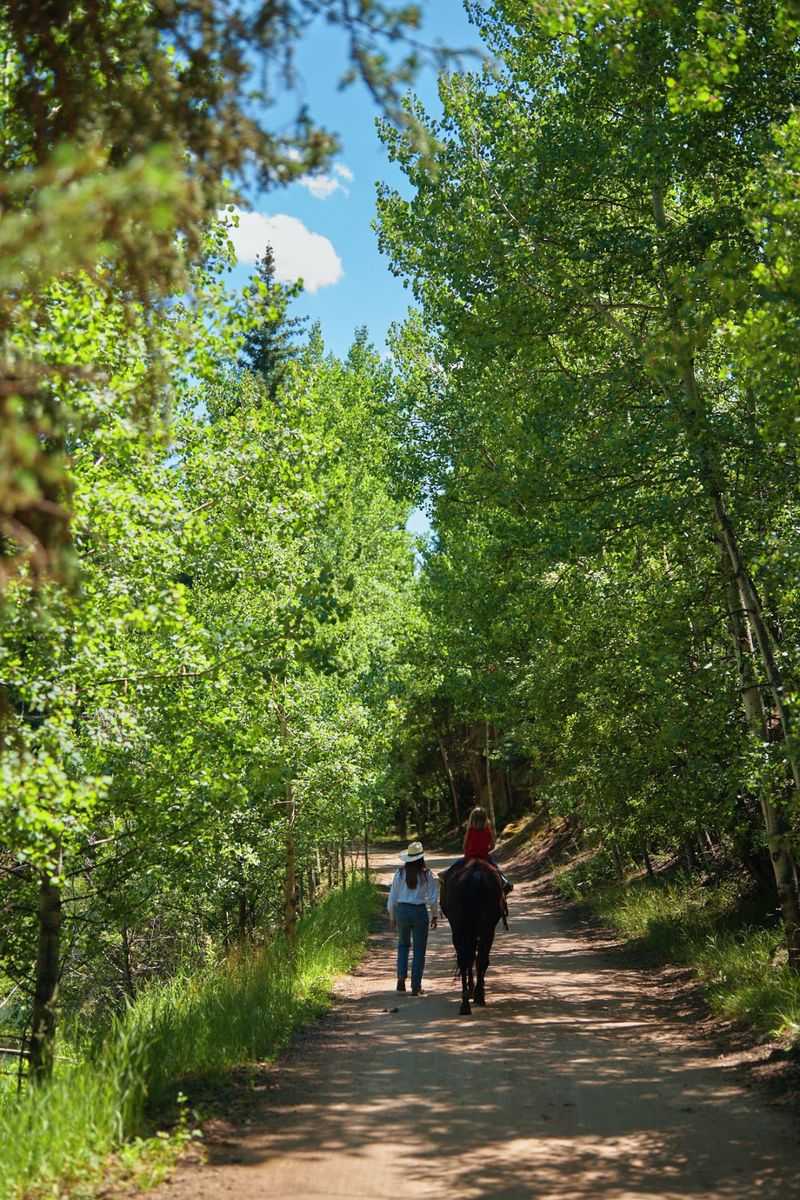 Saddling Up on Gentle Trails