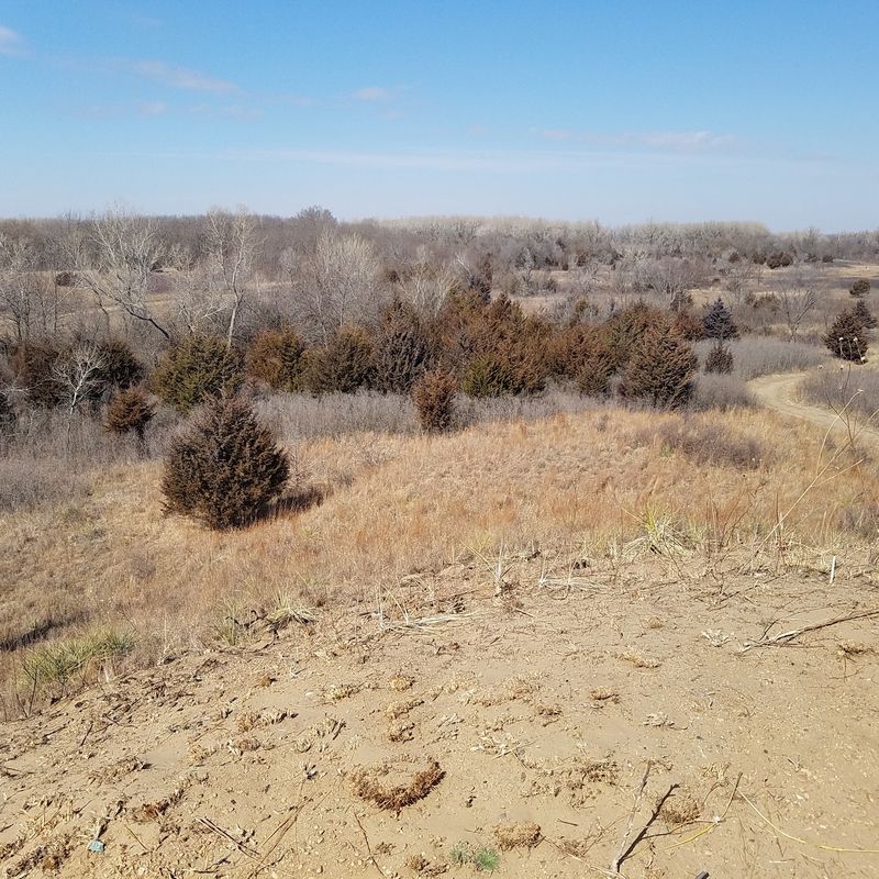 Sand Hills State Park, Hutchinson, KS