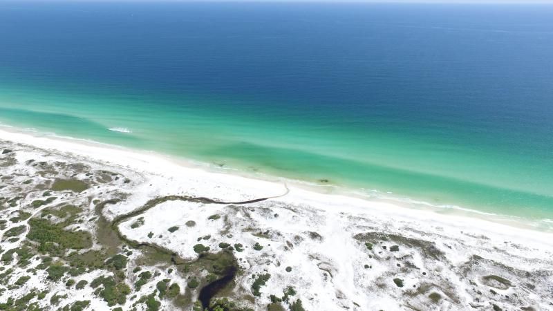 Sandbars, Clear Water, and a Few Wildcards