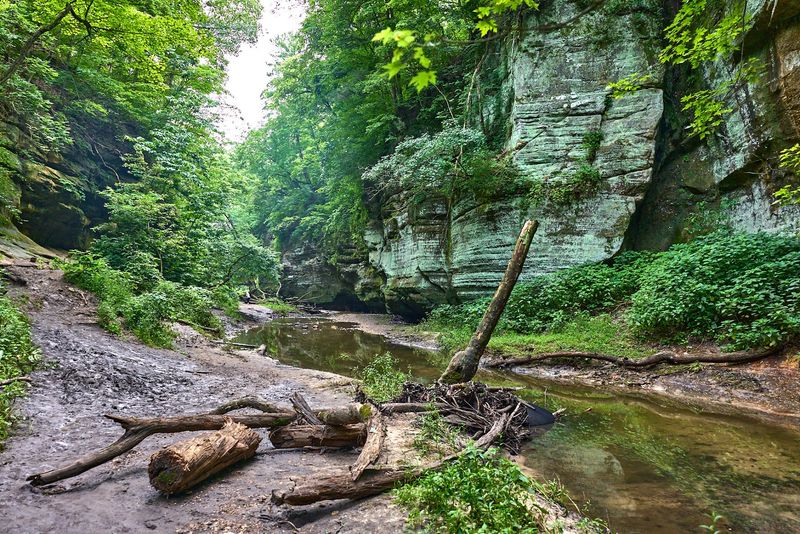 Sandstone Canyons and Wooded Paths