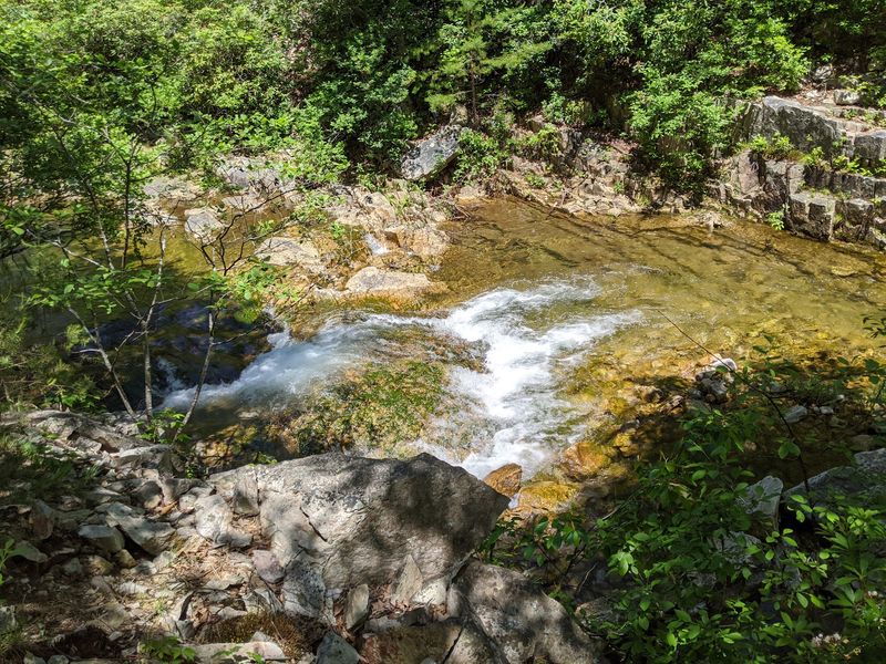 Scenery Plants And A Trail That Stays Clean