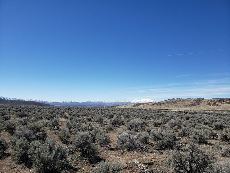 Scenery That Stops You in Your Tracks