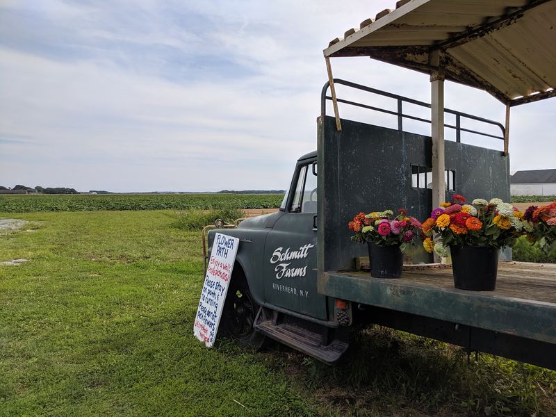 Schmitt's Farm Stand on Sound, Riverhead, NY