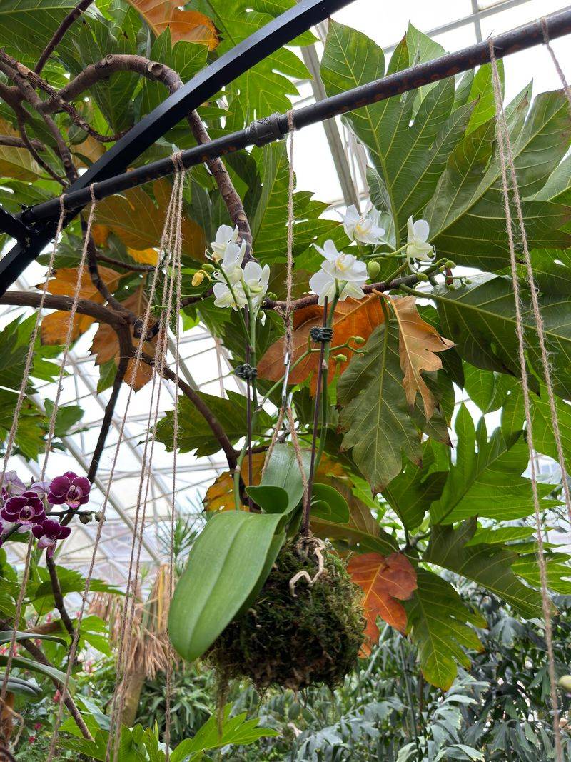 Seasonal Displays That Keep Changing Seasonal Displays That Keep Changing