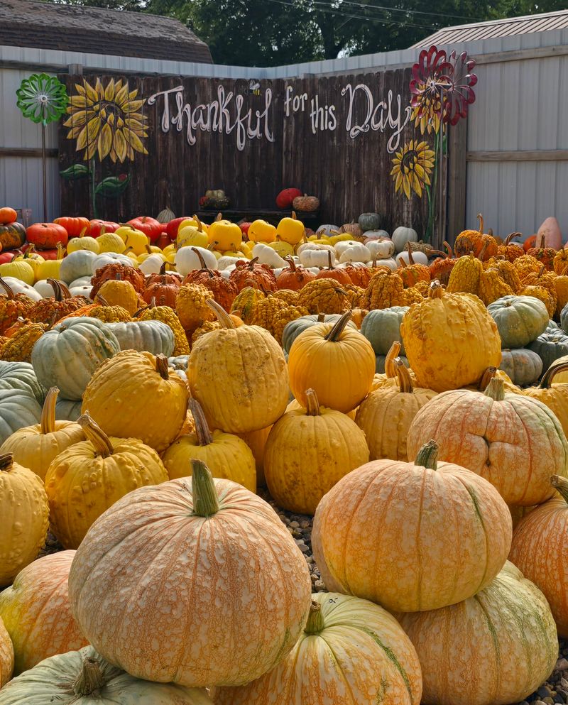 Seasonal Surprises All Year Long