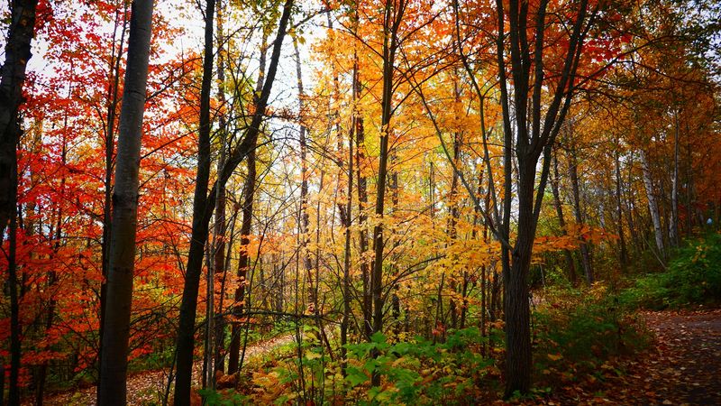 Seasons That Rewrite The Scene