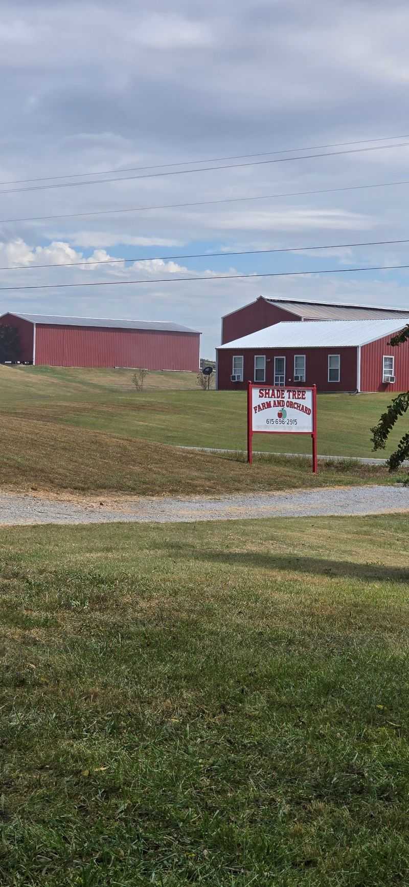 Shade Tree Farm and Orchard, Adams, TN