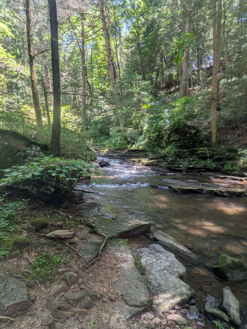 Shallow Rocks For The Little Ones