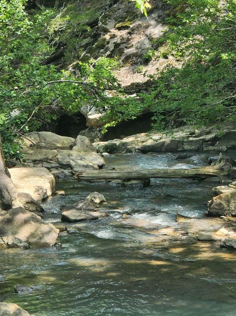 Sharing the Trail With Wildlife