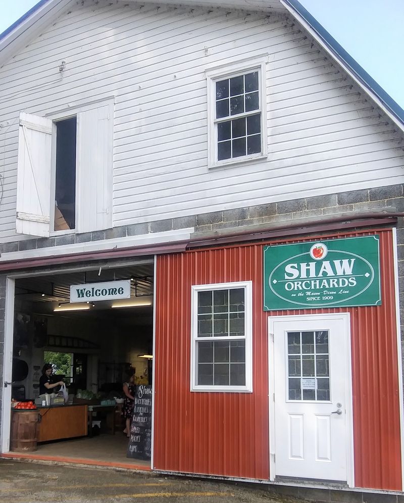 Shaw Orchards, White Hall, MD