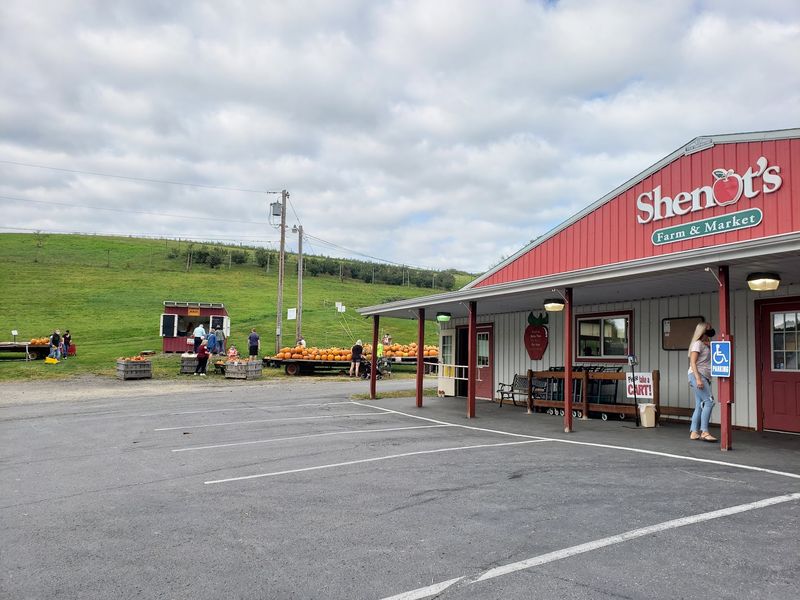 Shenot Farm & Market, Wexford, PA