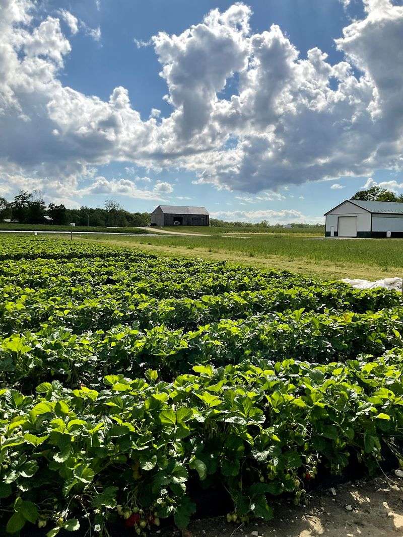 Shlagel Farms, Waldorf, MD