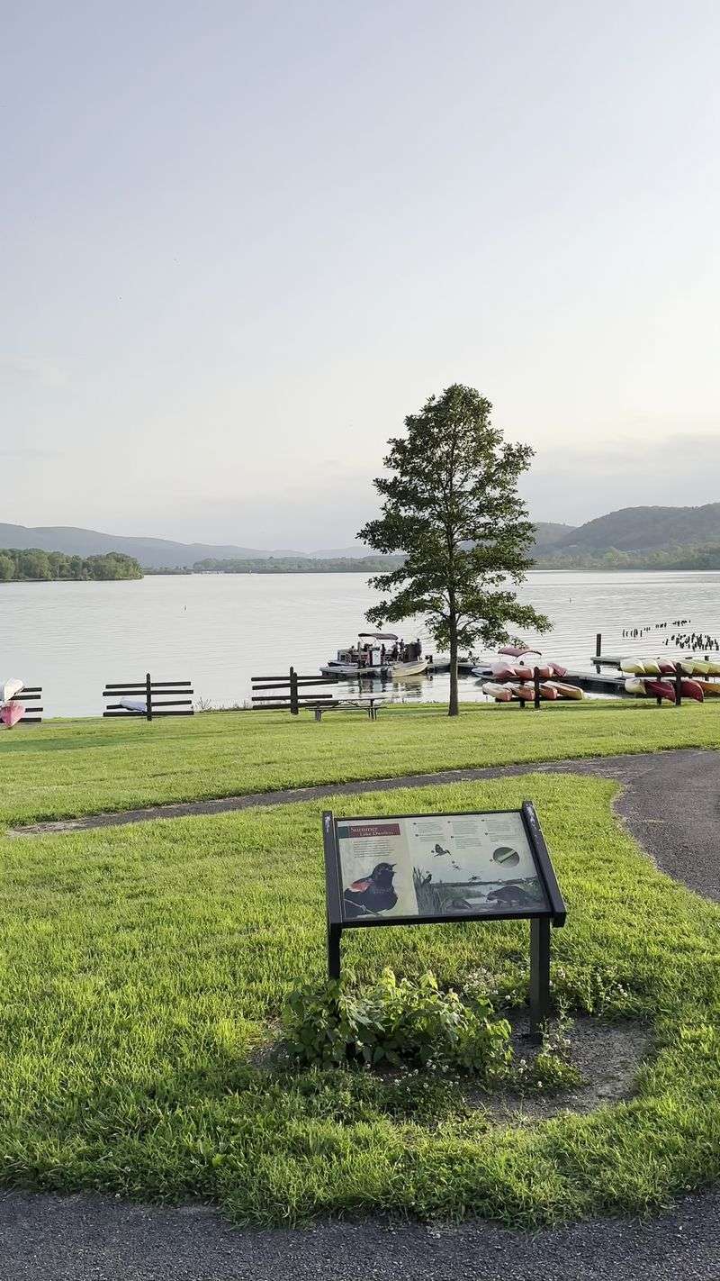 Shoreline Casting and a Healthy Fishery