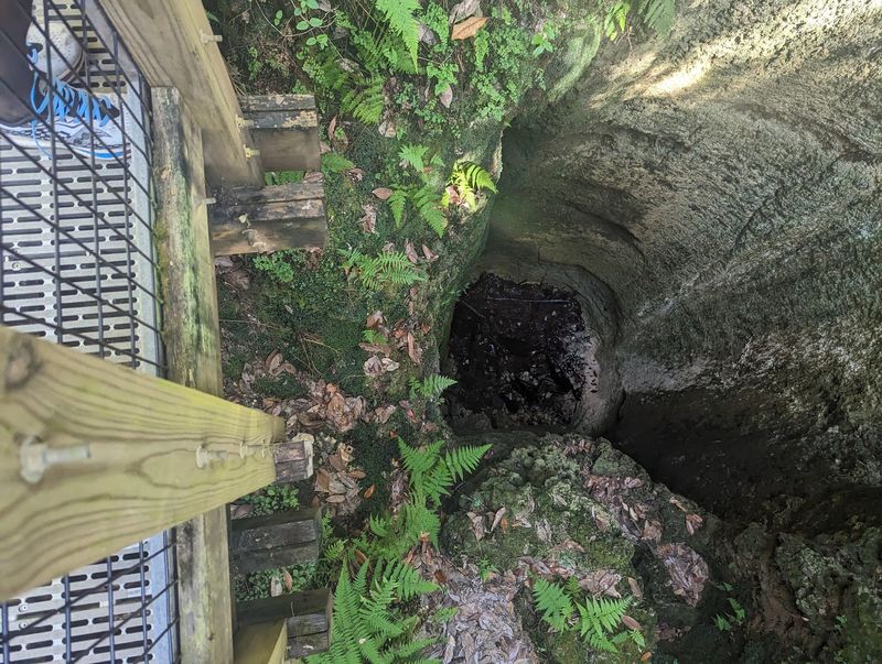 Sinkholes Scattered Like Nature's Trapdoors Sinkholes Scattered Like Nature's Trapdoors