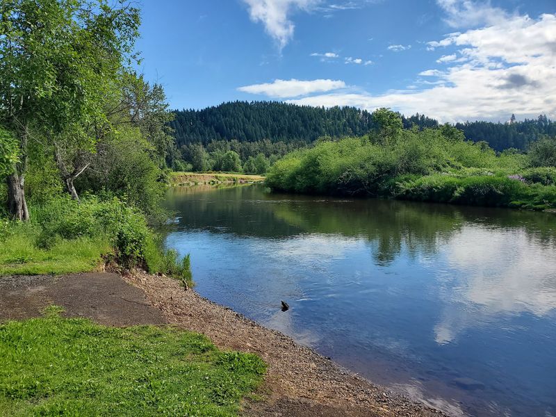 Sitting In The Heart Of The Willamette Valley