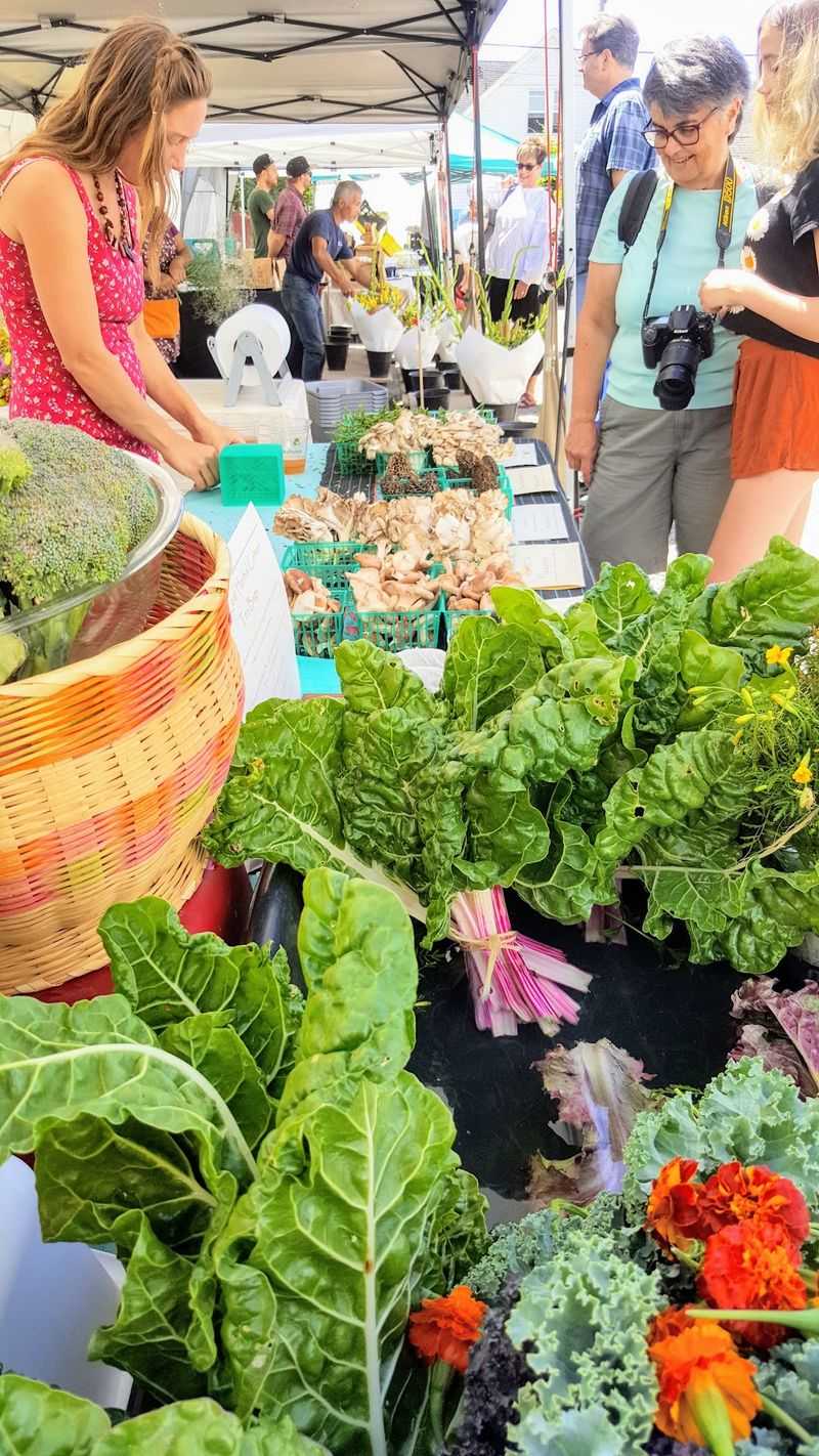 Small Farms and Independent Growers
