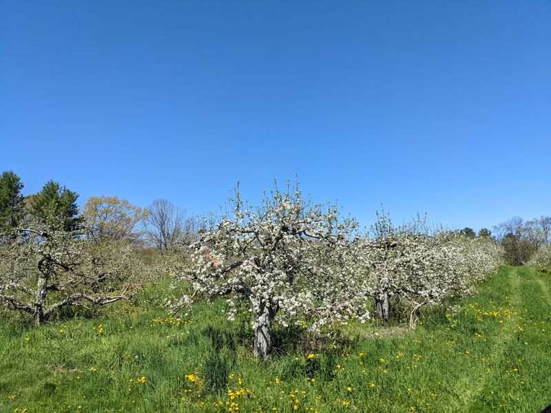 Smolak Farms, North Andover, MA