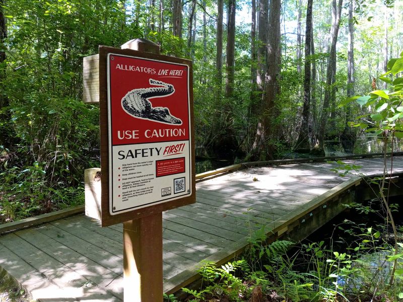 Snakes, Spiders, And Other Trailside Surprises