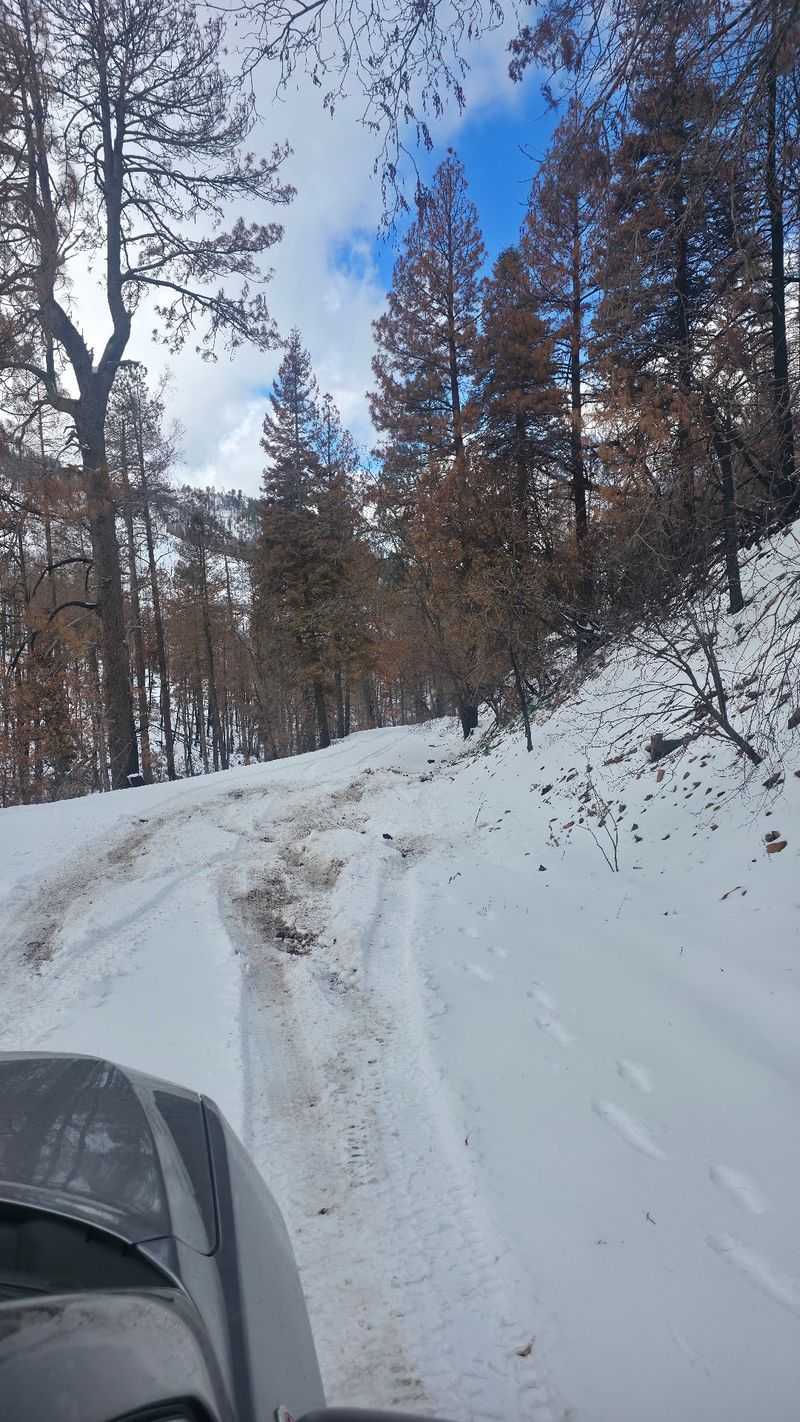 Snow Days and the Road Less Traveled
