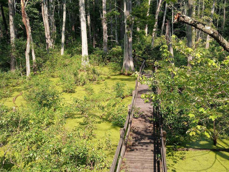 Solitude For Families And Quiet Wanderers