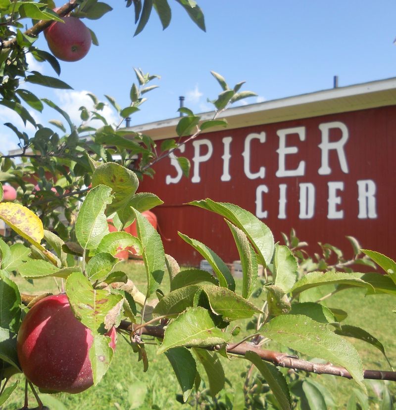 Spicer Orchards Farm Market, Cider Mill, Fudge, Bakery, Fenton, MI