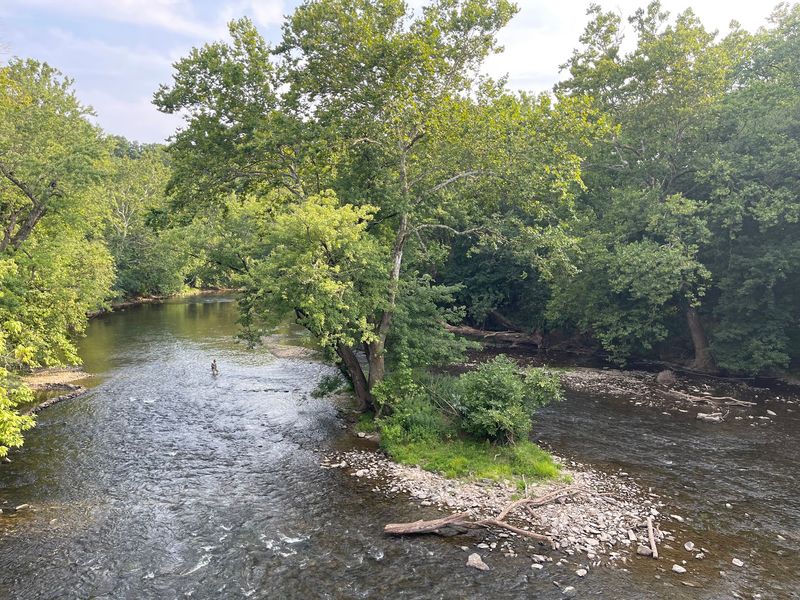 Splashing Along The Creek On A Warm Day