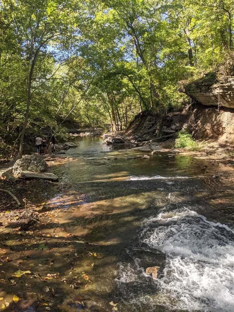 Splashing In The Creek And Pools