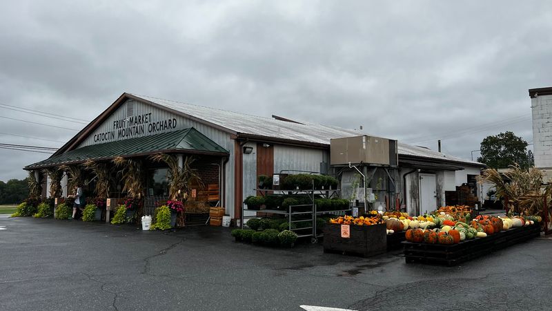 Spring Greenhouse Saturdays