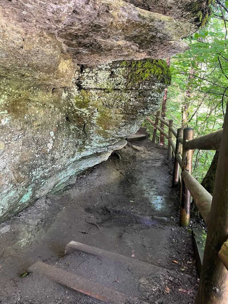 Stairs, Roots, And Steady Footing Stairs, Roots, And Steady Footing
