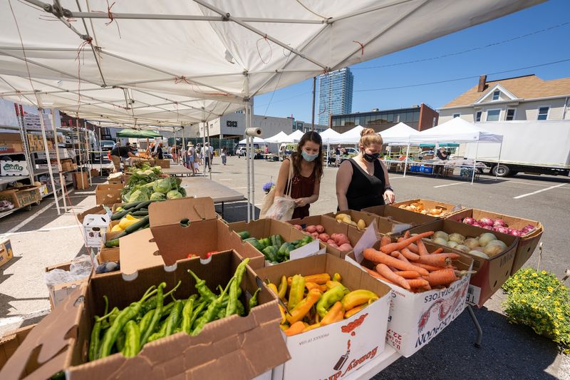 Stamford Downtown Farmers Market, Stamford, Connecticut