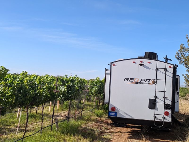 Stay The Night Among The Vines