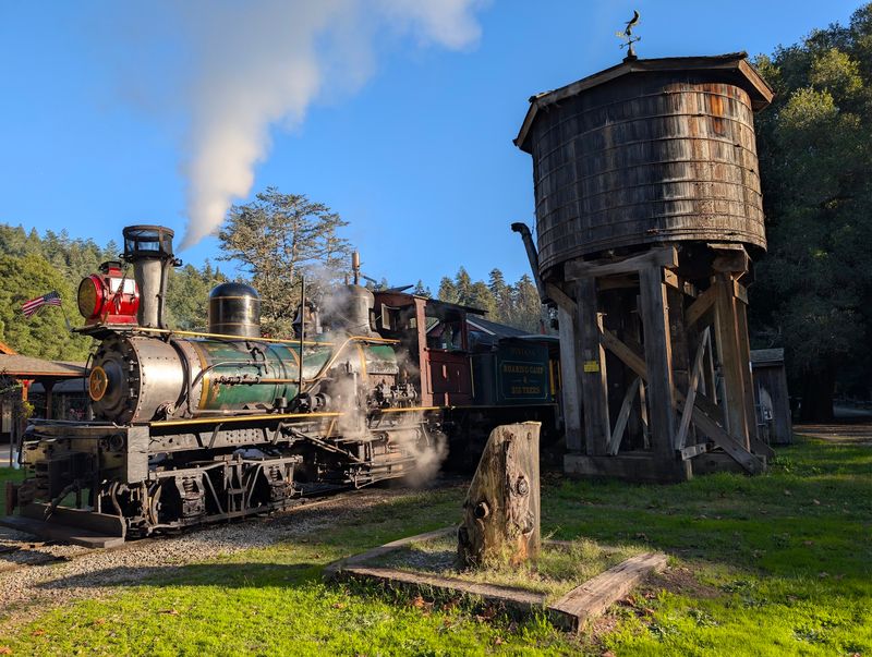 Steam Trains Whistling Through The Forest Steam Trains Whistling Through The Forest