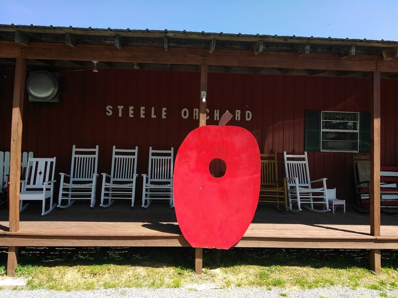 Steele Orchard, Steele, Alabama Steele Orchard, Steele, Alabama
