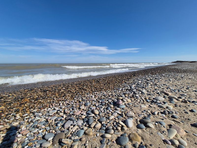 Stones, Fossils, and the Art of Looking Down