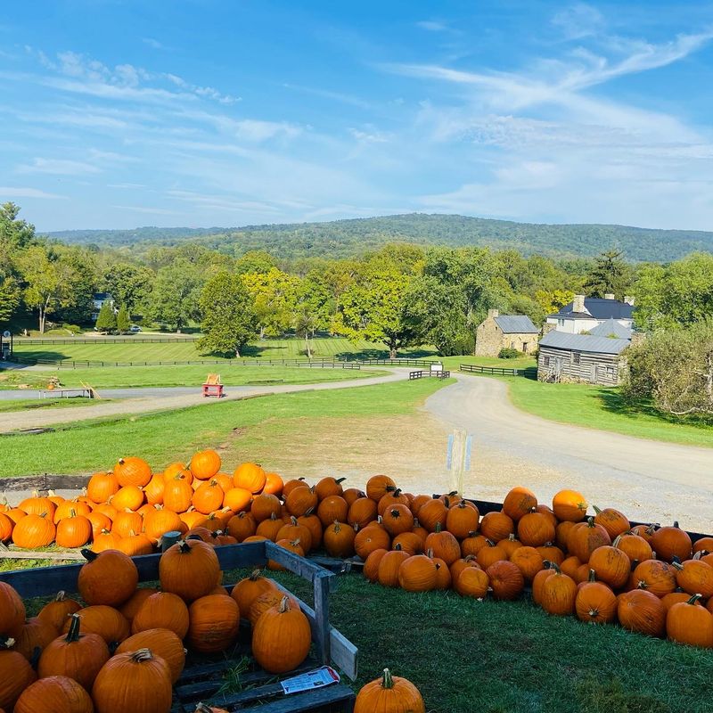 Stribling Orchard, Markham, VA