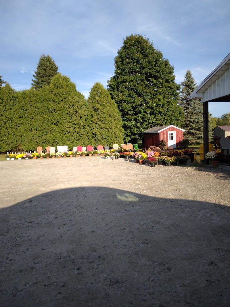 Summer Produce and Flower Bargains