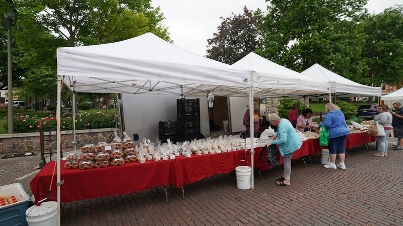 Summer woodstock farmers market, Woodstock, IL