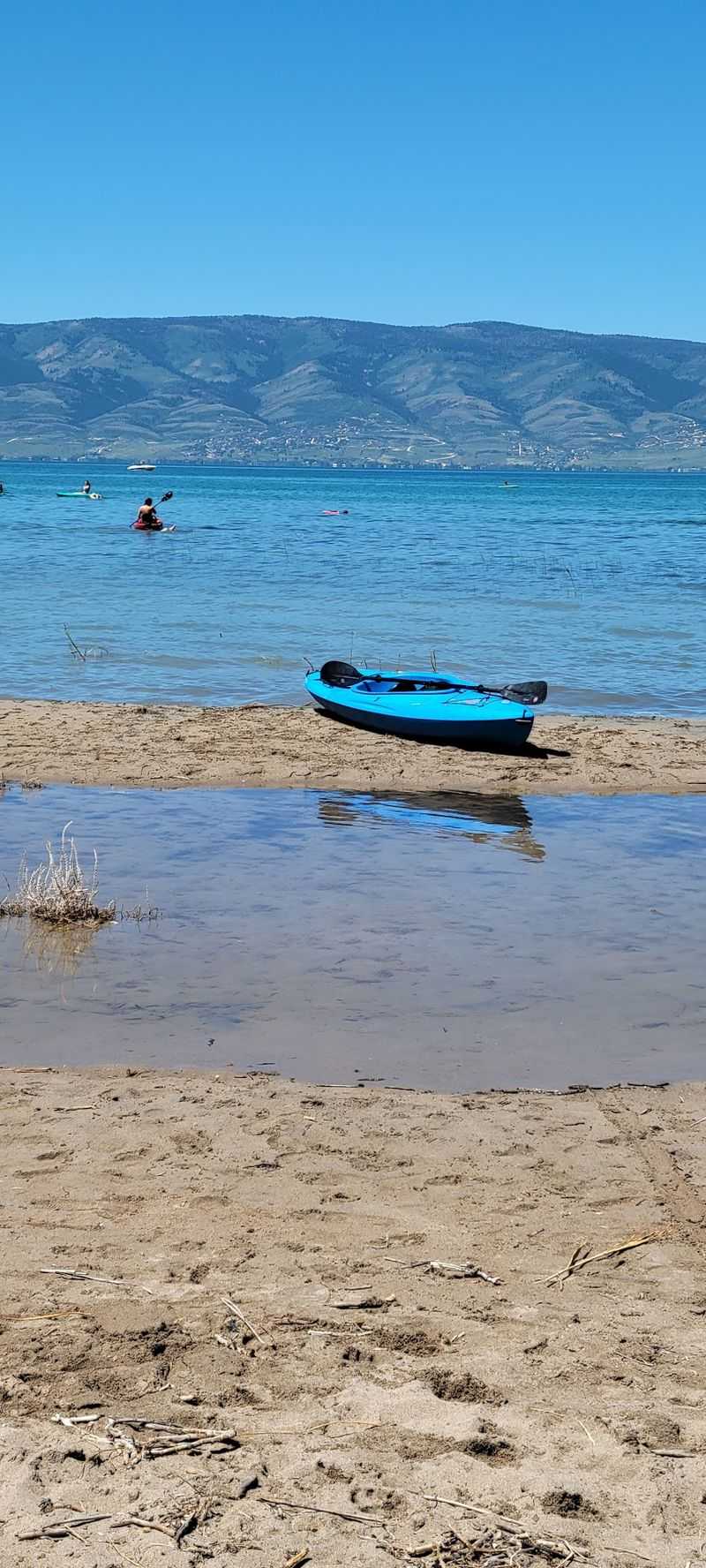 Sun, Shade, And The Case For Packing Cover Sun, Shade, And The Case For Packing Cover