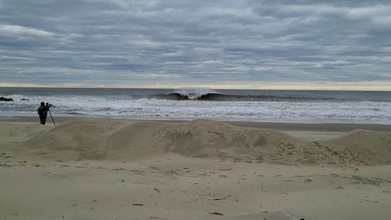Surfers, Dogs, and Seasonal Rules