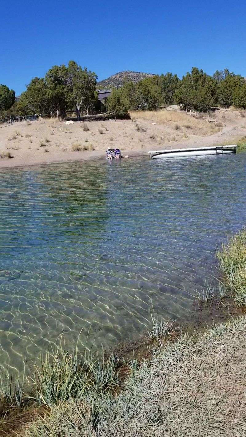 Swimming And Paddling On The Reservoir