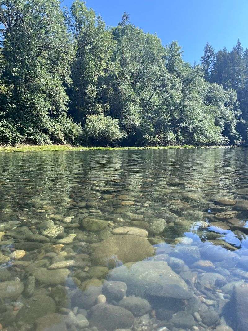Swimming Holes You Can See the Bottom Of