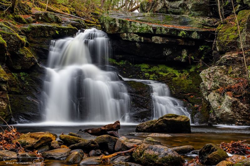 Swimming Holes and Summer Splashes