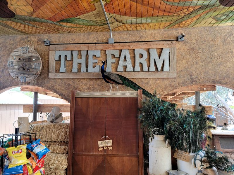 THE LAS VEGAS FARM, Las Vegas, NV THE LAS VEGAS FARM, Las Vegas, NV