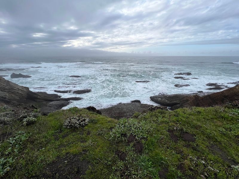 Takeout, Beaches, And Beating The Line