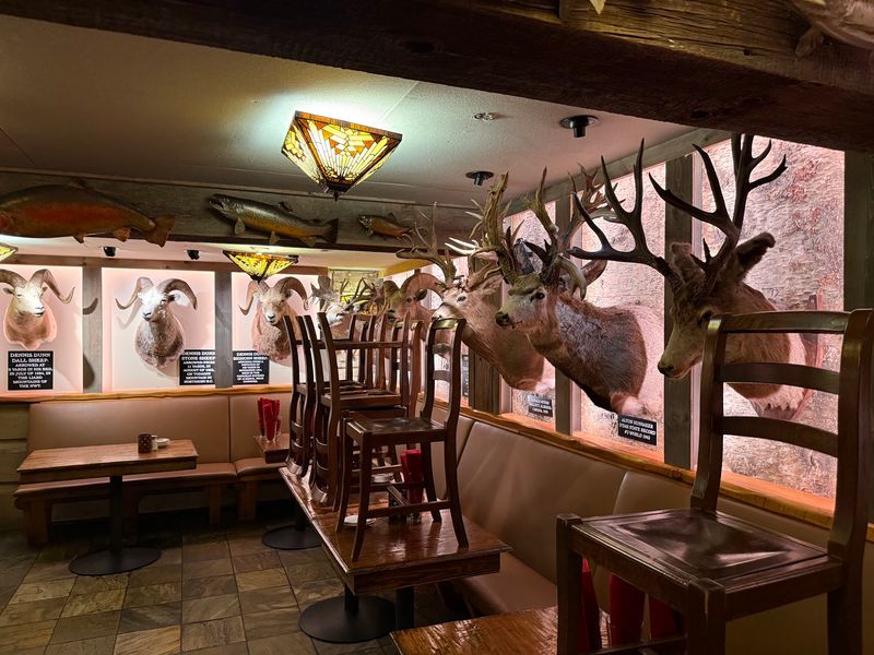 Taxidermy And A Canoe Overhead Taxidermy And A Canoe Overhead