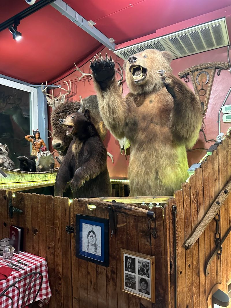 Taxidermy And Trophies On Every Wall
